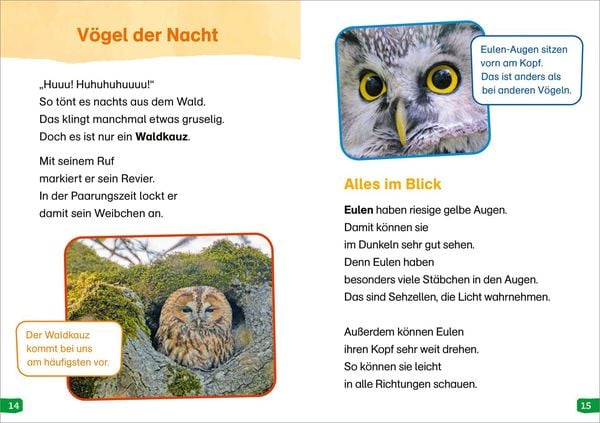 Produktbild: WAS IST WAS Erstes Lesen easy! Band 17. Tiere in der Nacht
