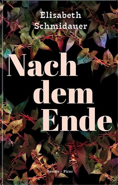Produktbild: Nach dem Ende