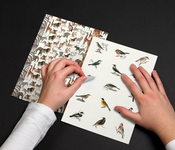 Produktbild: Fauna