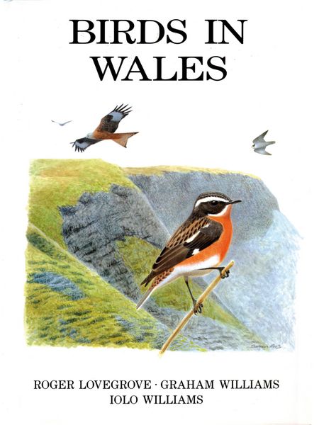Produktbild: Birds in Wales