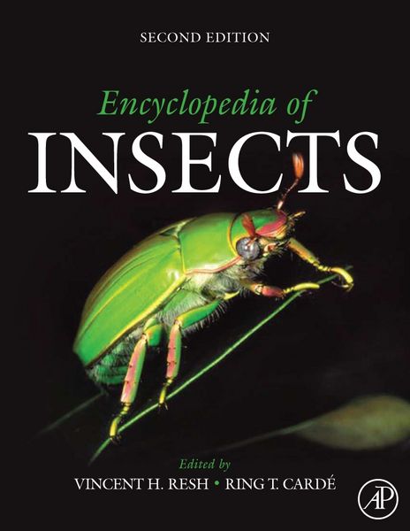 Produktbild: Ency Of Insects 2/e