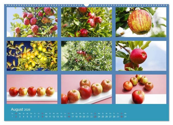 Produktbild: Food (hochwertiger Premium Wandkalender 2026 DIN A2 quer), Kunstdruck in Hochglanz