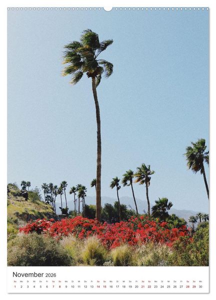 Produktbild: Palm Springs - Immer der Sonne nach. (Wandkalender 2026 DIN A2 hoch), CALVENDO Monatskalender