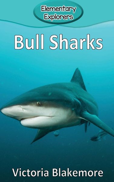 Produktbild: Bull Sharks