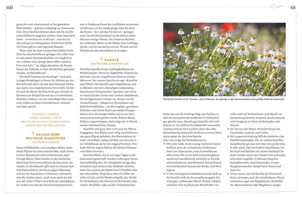 Produktbild: Die Magie der Sonnenwenden