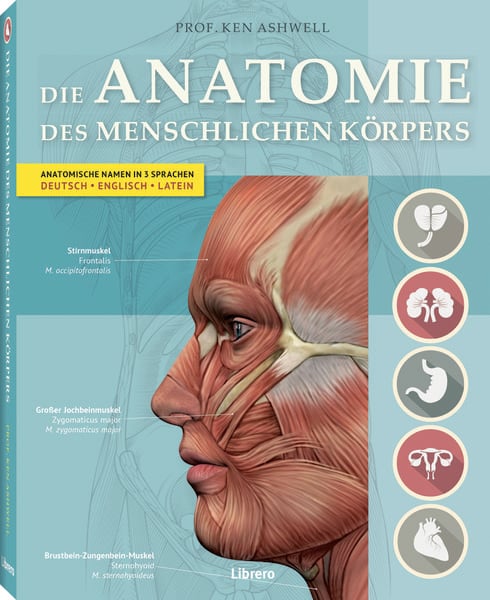 Produktbild: DIE ANATOMIE DES MENSCHLICHEN K&Ouml;RPERS