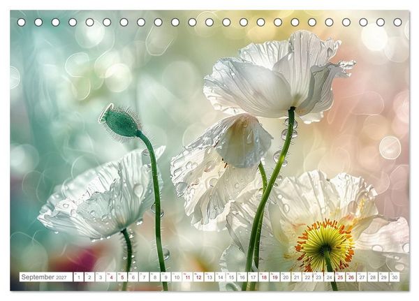 Produktbild: Bezaubernde Mohnblumen (Tischkalender 2027 DIN A5 quer), CALVENDO Monatskalender