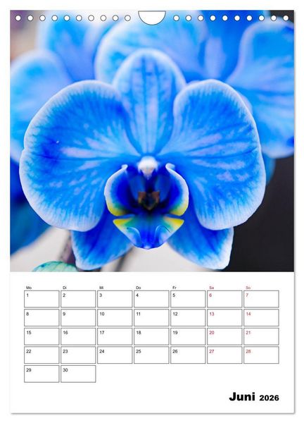 Produktbild: Orchideen - Tropische Sch&ouml;nheiten (Wandkalender 2026 DIN A4 hoch), CALVENDO Monatskalender