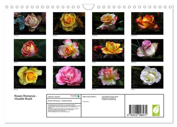 Produktbild: Rosen Romanze - Visuelle Musik (Wandkalender 2026 DIN A4 quer), CALVENDO Monatskalender