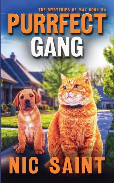 Produktbild: Purrfect Gang