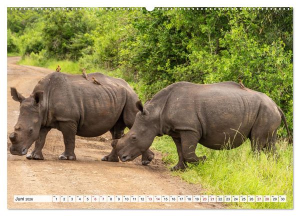 Produktbild: S&uuml;dafrika - Landschaft voller Vielfalt und Sch&ouml;nheit (hochwertiger Premium Wandkalender 2026 DIN A2 quer), Kunstdruck in Hochglanz