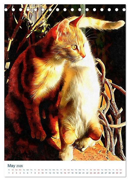 Produktbild: Umbrian Cats (Desk Calendar 2026 DIN A5 portrait), CALVENDO 12 Month DeskCalendar