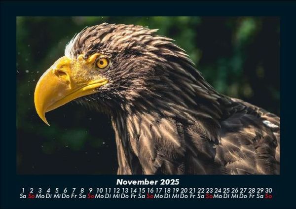 Produktbild: Adler 2025 Fotokalender DIN A5