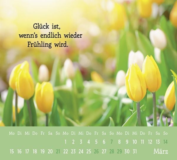 Produktbild: Mini-Kalender 2027: Der kleine Gl&uuml;ckskalender