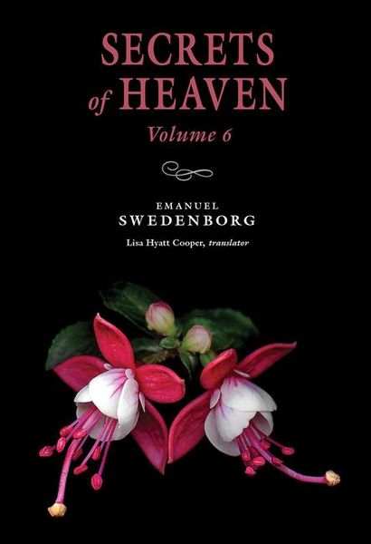 Produktbild: Secrets of Heaven Volume 6