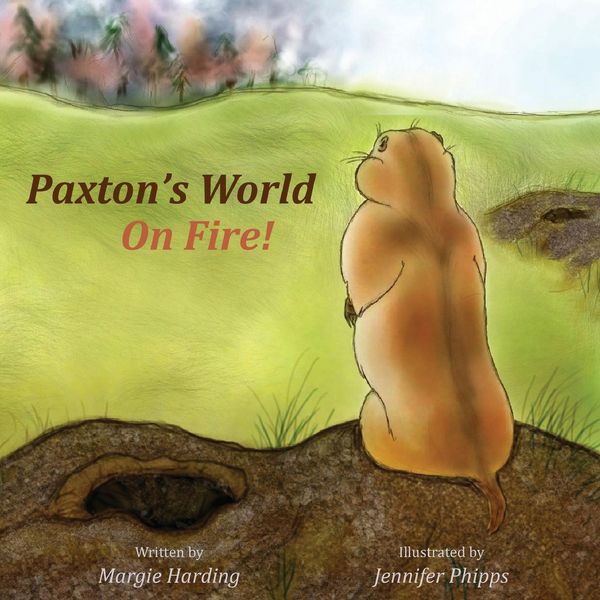 Produktbild: Paxton's World On Fire
