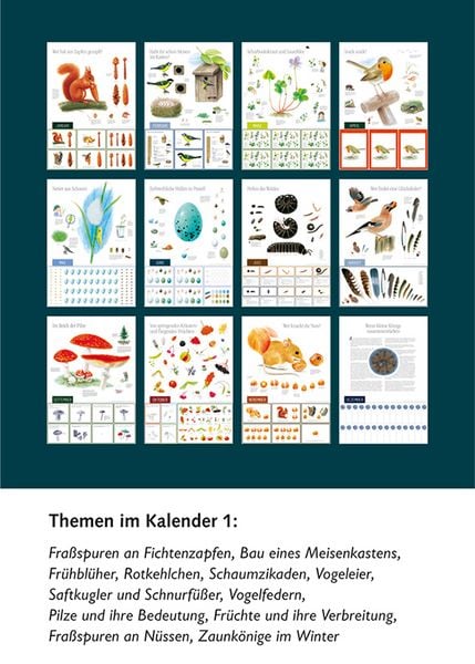 Produktbild: Natur erleben durch das Jahr - 1