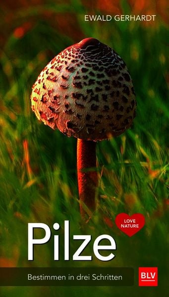 Produktbild: Pilze