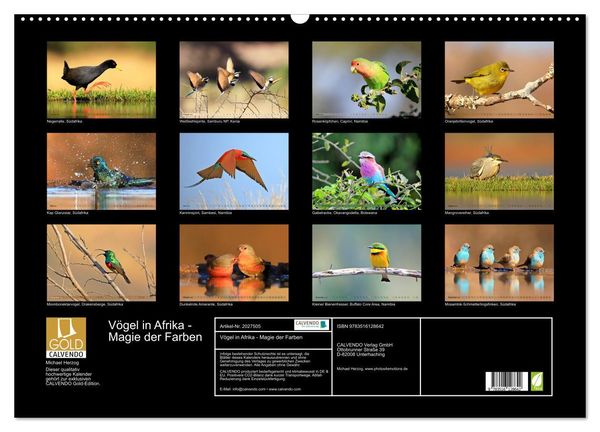 Produktbild: V&ouml;gel in Afrika - Magie der Farben (Wandkalender 2026 DIN A2 quer), CALVENDO Monatskalender
