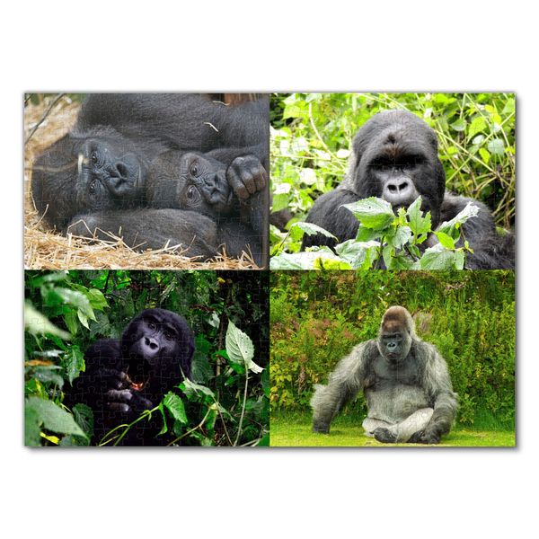Produktbild: Lais Puzzle Collage Gorilla 500 Teile
