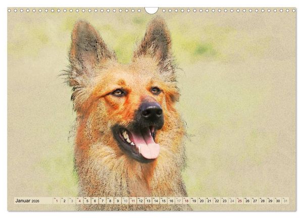 Produktbild: Altdeutsche H&uuml;tehunde 2026 (Wandkalender 2026 DIN A3 quer), CALVENDO Monatskalender