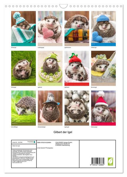 Produktbild: Gilbert der Igel (Wandkalender 2026 DIN A3 hoch), CALVENDO Monatskalender