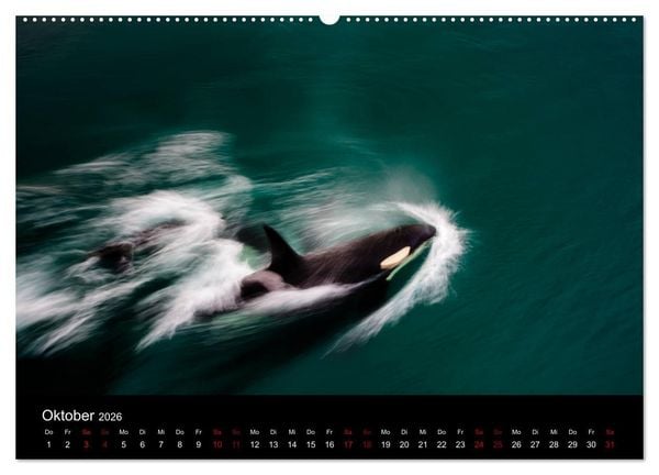 Produktbild: Island - Unber&uuml;hrte Landschaften (hochwertiger Premium Wandkalender 2026 DIN A2 quer), Kunstdruck in Hochglanz