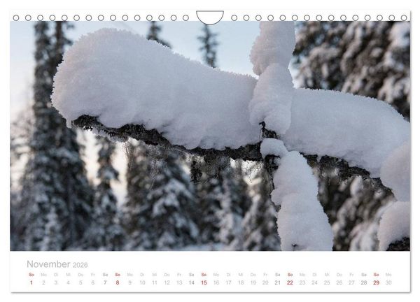 Produktbild: Heimat der Samen (Wandkalender 2026 DIN A4 quer), CALVENDO Monatskalender