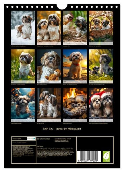 Produktbild: Shih Tzu - immer im Mittelpunkt (Wandkalender 2026 DIN A4 hoch), CALVENDO Monatskalender