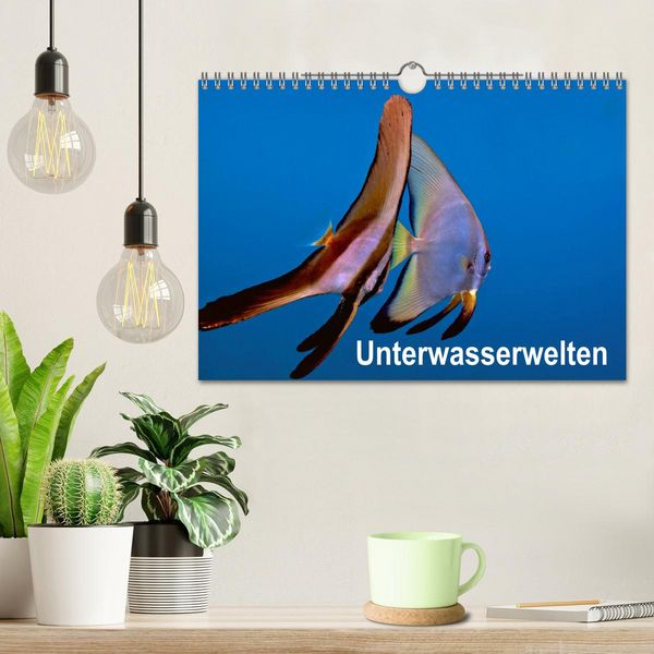 Produktbild: Unterwasserwelten (Wandkalender 2026 DIN A4 quer), CALVENDO Monatskalender