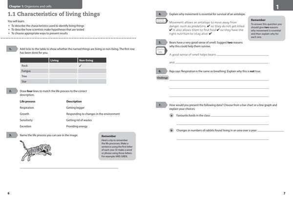 Produktbild: Lower Secondary Science Workbook: Stage 7