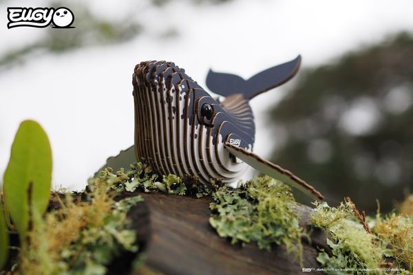 Produktbild: EUGY - 3D Bastelset Buckelwal
