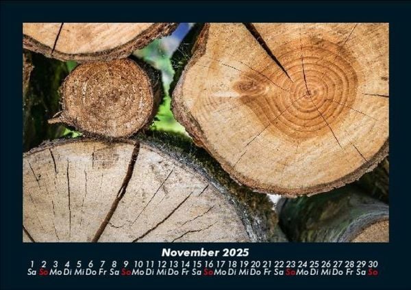 Produktbild: B&auml;ume 2025 Fotokalender DIN A5