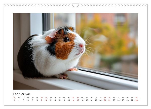 Produktbild: Mehr Schwein mit Meerschwein (Wandkalender 2026 DIN A3 quer), CALVENDO Monatskalender