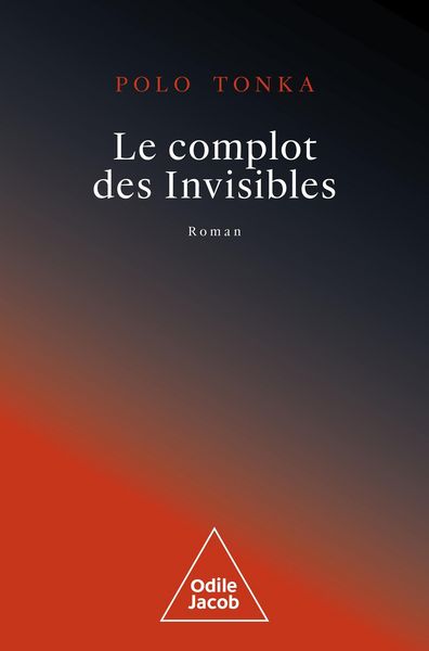 Produktbild: Le Complot des Invisibles