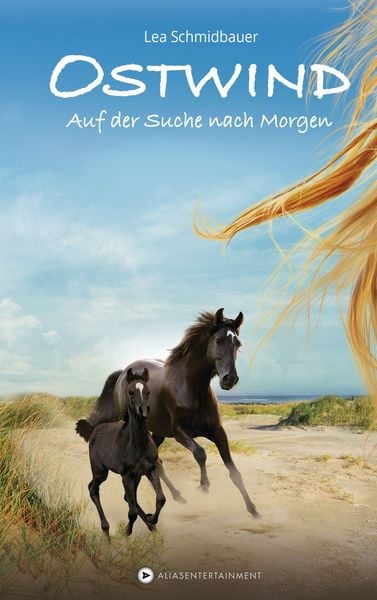 Produktbild: Auf der Suche nach Morgen / Ostwind Bd.4