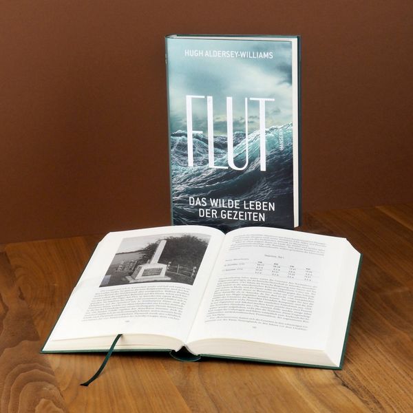 Produktbild: Flut