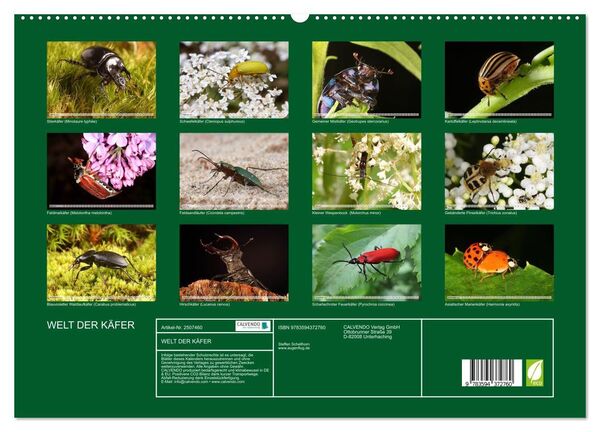 Produktbild: WELT DER K&Auml;FER (hochwertiger Premium Wandkalender 2027 DIN A2 quer), Kunstdruck in Hochglanz