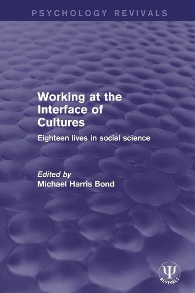 Produktbild: Working at the Interface of Cultures