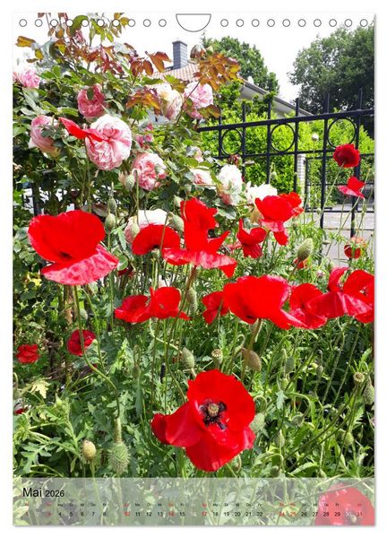 Produktbild: Ferien im Garten (Wandkalender 2026 DIN A4 hoch), CALVENDO Monatskalender