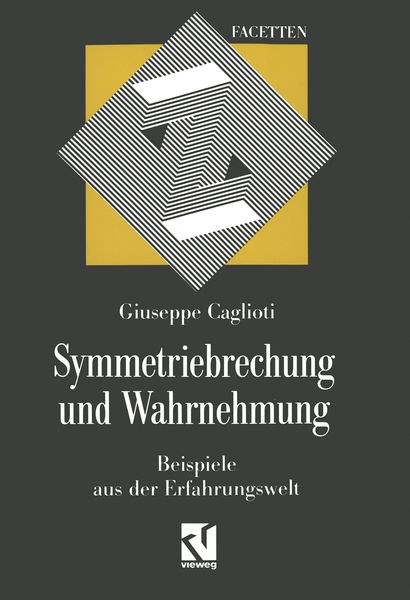 Produktbild: Symmetriebrechung und Wahrnehmung
