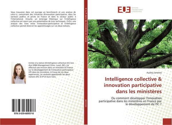 Produktbild: Intelligence collective & innovation participative dans les minist&egrave;res