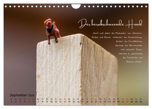 Produktbild: Yoga - Kleine Figur, gro&szlig;e Wirkung (Wandkalender 2026 DIN A4 quer), CALVENDO Monatskalender