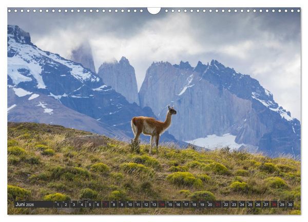 Produktbild: Traumwelt Chile (Wandkalender 2026 DIN A3 quer), CALVENDO Monatskalender