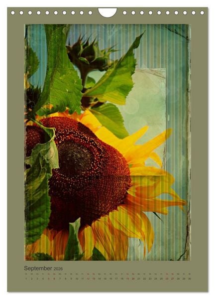 Produktbild: Vintage Style (Wandkalender 2026 DIN A4 hoch), CALVENDO Monatskalender