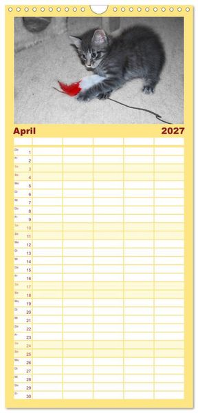 Produktbild: Familienplaner 2027 - Die Launen der Katzen 2027 mit 5 Spalten (Wandkalender, 21 x 45 cm) CALVENDO