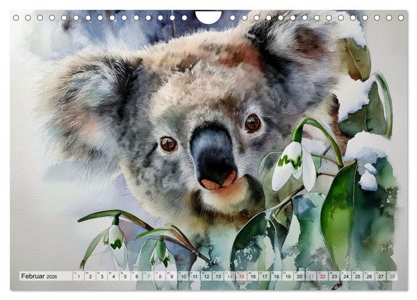 Produktbild: Koalas, liebenswerte kleine Schlafm&uuml;tzen (Wandkalender 2026 DIN A4 quer), CALVENDO Monatskalender