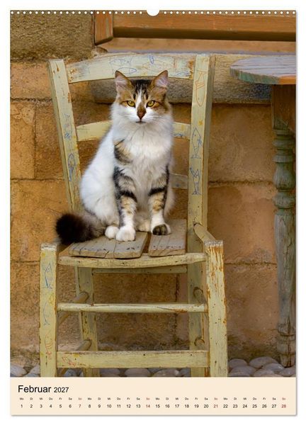 Produktbild: Katzen von Rhodos (hochwertiger Premium Wandkalender 2027 DIN A2 hoch), Kunstdruck in Hochglanz