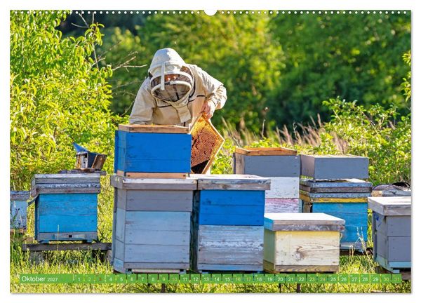 Produktbild: Ein Leben f&uuml;r den Honig: Bienen und Imker (hochwertiger Premium Wandkalender 2027 DIN A2 quer), Kunstdruck in Hochglanz