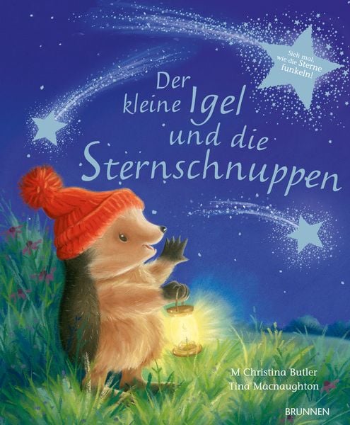 Produktbild: Der kleine Igel und die Sternschnuppen